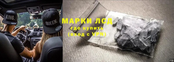 прущие грибы Заводоуковск