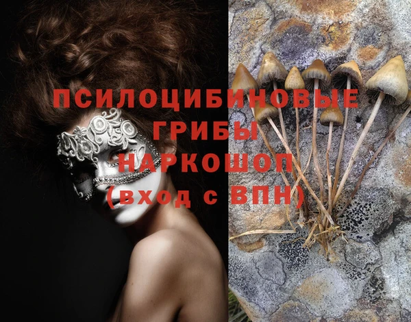 героин Алексин