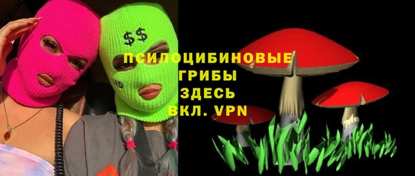 героин Алексин