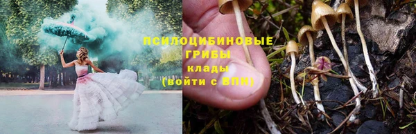 соль курить ск Алексеевка