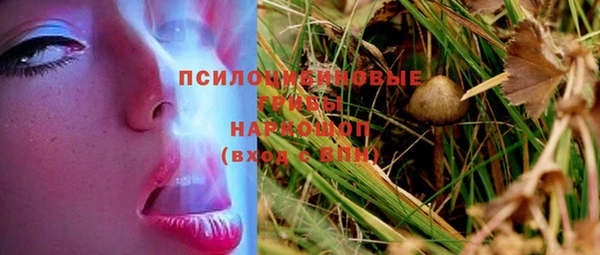 героин Алексин