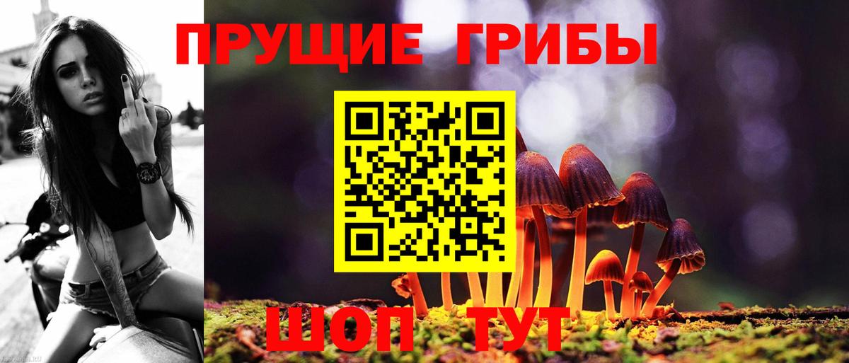 Апрелевка  Галлюциногенные грибы мухоморы  Вход с VPN 
